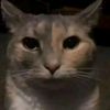 newusername188
