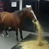 venuyydvqh6