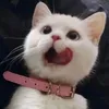ᵛᶦᵛᶦ𝐬𝐨𝐥𝐭𝐢𝐤