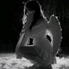 user73205568592945
