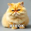 toplessvochkahymni