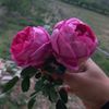user30568772435040