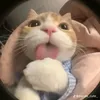 miimeow7