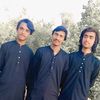 shahed.abbas274