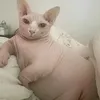 kaziw3n3