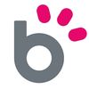 Blippd - Web Design - Al Lover
