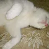 sweet.mom02