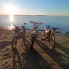 allbrdv86