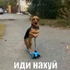 badjerry17