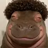 hnnt.i