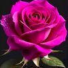 user4860084097539