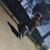 olga_5209