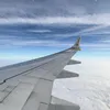 fxilipz_