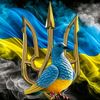 putinhuylo83