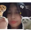 aries.chiong