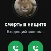 smertvnishite1488