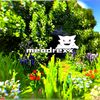 mifeyxeq
