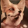 fox56338