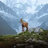 baran.baran286