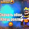 user61877039718781