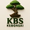kebonsai.id