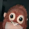 lolotrav