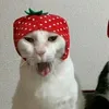 xlebyllle4ek