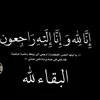 _mseel10