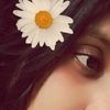 user24073961495468