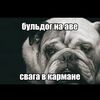 lozefxxx1