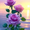 nguoi_thanh_lich_9147