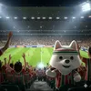 ocachorrinho0