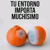 irmanavasanchez.n