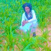 user5548468702217