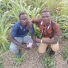 user84738041274445