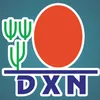 DXN International
