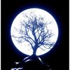 user7930818812341