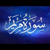 matar.diallo398