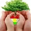 hanifabrim920