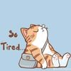 prvmeows