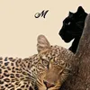 m.yaqeen.6