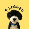 4leggedco