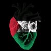 mahmoudfouda491