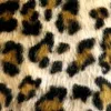 kiara.123708