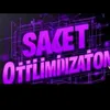 saqetoptimization