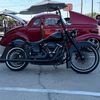 harley.guy31