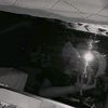 eliberto.893