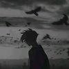.akatsuki28