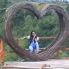 inces11065