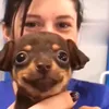 vaaaafaalaayaa